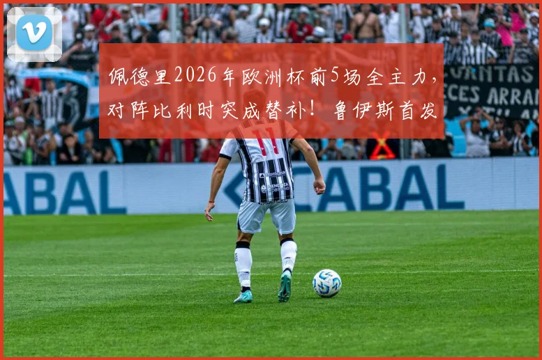 佩德里2026年欧洲杯前5场全主力,对阵比利时突成替补!鲁伊斯首发引热议